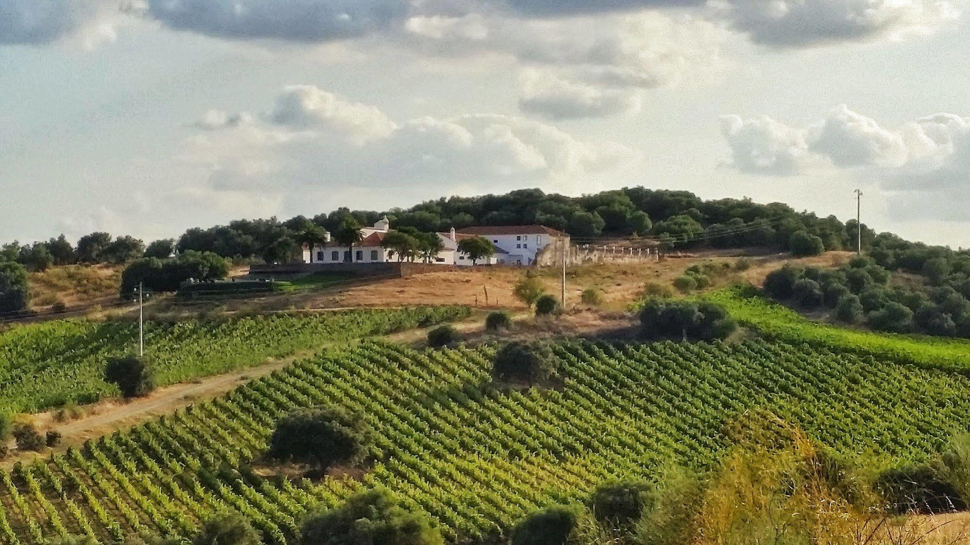 Herdade Do Vau